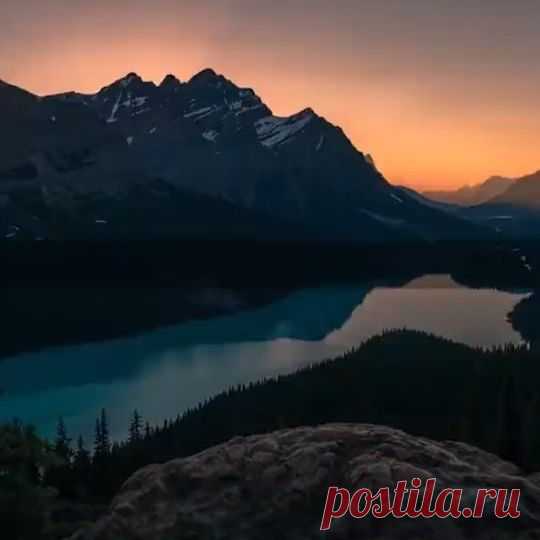Напиши 