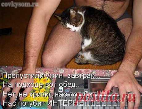 Кулинарный юмор в котоматрицах 35 | Со вкусом