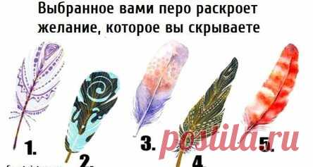 Выбранное вами перо раскроет желание, которое вы скрываете