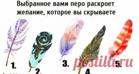 Выбранное вами перо раскроет желание, которое вы скрываете