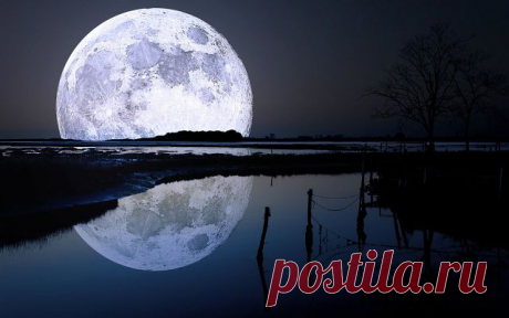 (28) Одноклассники