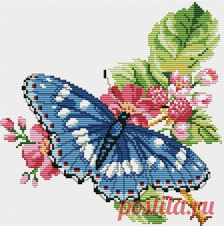 цитата valia_by : БАБОЧКА КРЕСТИКОМ (10:53 23-01-2016) [4426181/382710045] - nimfa58@mail.ru - Почта Mail.Ru
