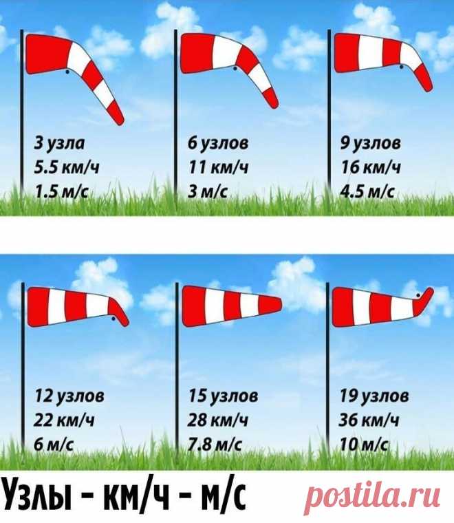 Шпаргалки на разные случаи жизни | Делимся советами