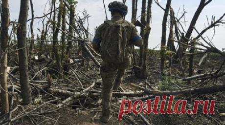 Марочко: ВСУ отошли на вторую линию обороны на Купянском направлении. ВС Украины отошли на вторую линию обороны на участке Синьковка-Петропавловка на Купянском направлении. Читать далее