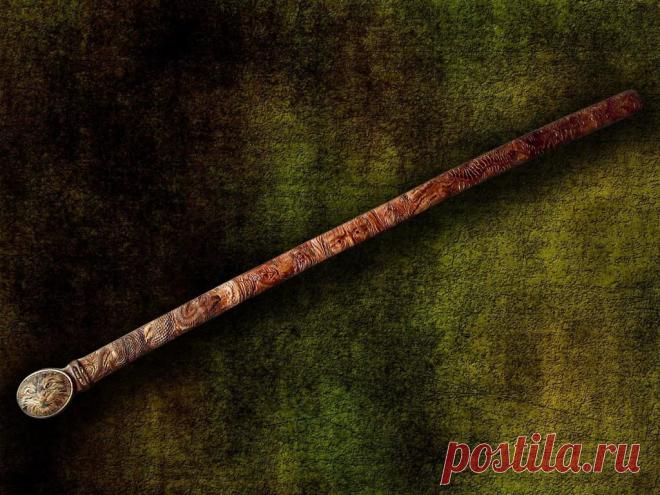 Просмотр изображения: сколопендра1