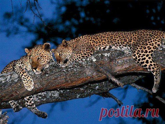 Хорошее место для ночлега.Вон и завтрак уже палатку разложил.