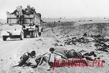 ФСБ опубликовала документы об истреблении бандеровцами поляков во время войны. ФСБ опубликовала архивные документы об истреблении бандеровцами жителей Польши во время Великой Отечественной войны. Этнические убийства поляков достигли апогея в июле и августе 1943 года. Всего, по данным историков, в тот момент было убито более 36 тысяч человек: мужчин, женщин, детей и стариков.