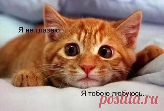 )))