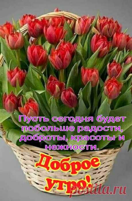 (1) Pinterest