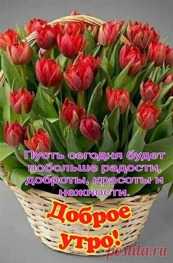 (1) Pinterest