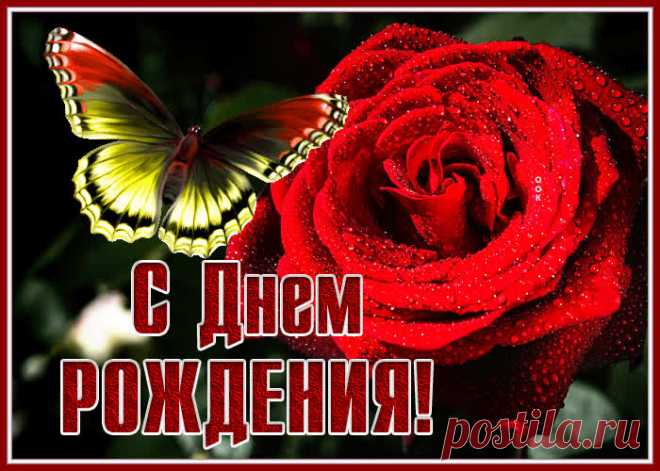 Картинка с днем рождения женщине с великолепной розой - приятное и искреннее поздравление онлайн. Картинка с днем рождения женщине с великолепной розой, скачать и отправить бесплатно.