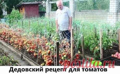 Продолжение ниже... ↓↓↓ ЖМИ ↓