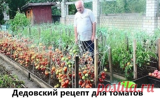 Продолжение ниже... ↓↓↓ ЖМИ ↓