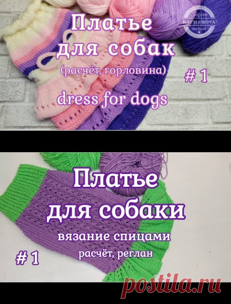 Платье для собаки спицами, Часть 1, расчет, реглан - YouTube