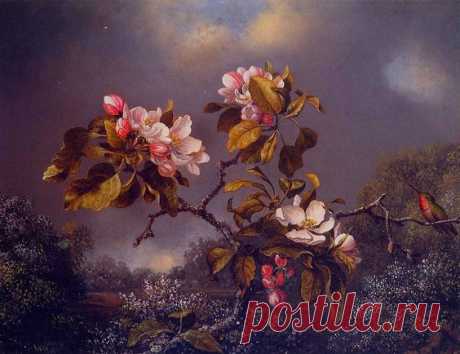 Martin Johnson Heade - Apple Blossoms and Hummingbird (1871)