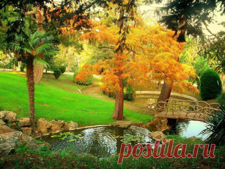 Фотографии Хроники - Viaggiando Attraverso le Meraviglie della Natura | Facebook