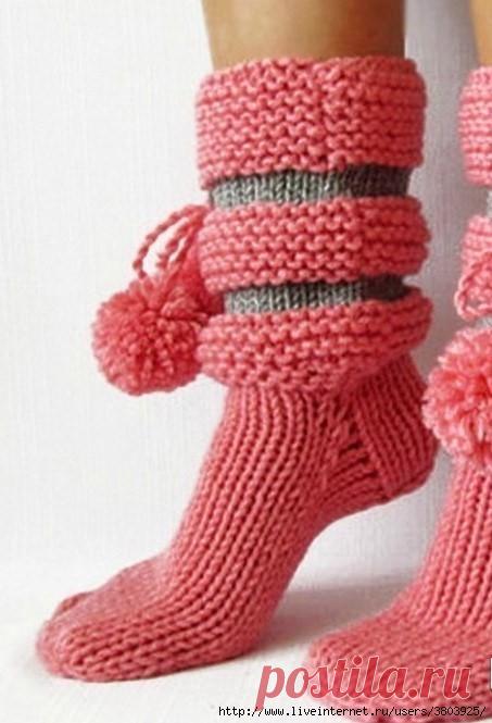 Дневник Веселого Енота