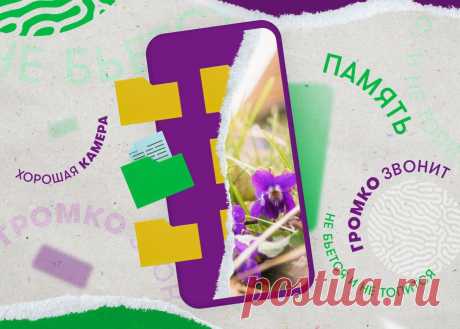 Как выбрать телефон для бабушки? | МегаФон | Яндекс Дзен