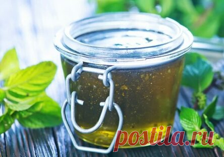 Сироп из мелиссы на зиму