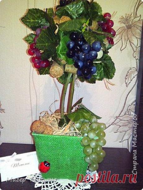 виноградное дерево | Страна Мастеров