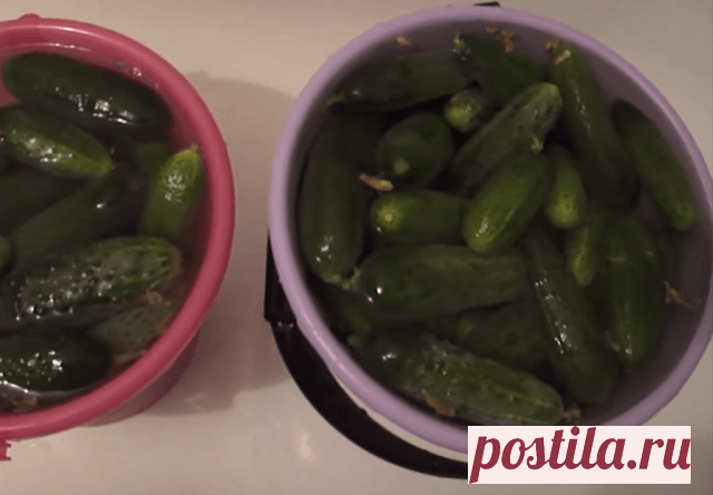 Огурцы по-корейски на зиму – самые вкусные рецепты