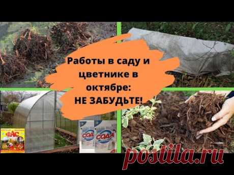 ОБЯЗАТЕЛЬНО успейте сделать это во второй половине октября в саду и цветнике