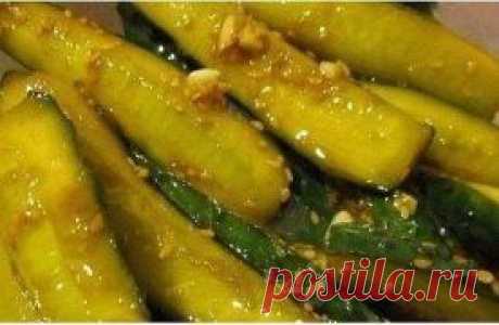 Картинки из тем