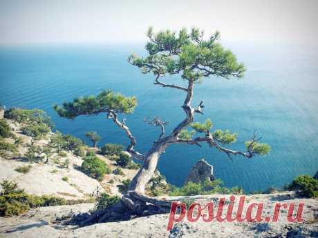 Интересные места в Крыму