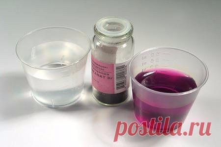 Марганцовка для растений.