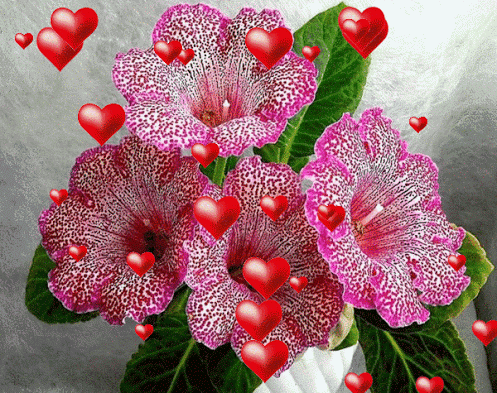 Мой Мир@Mail.Ru