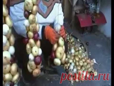 Как плести косы из лука. Хранение лука. - YouTube