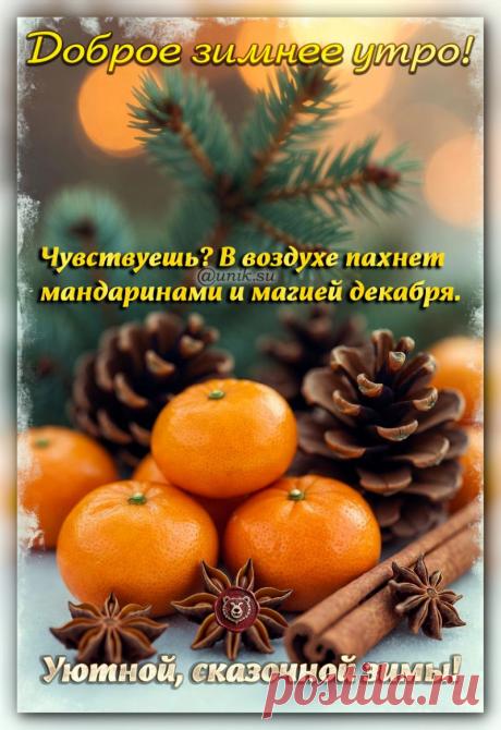 1 декабря с первым днем зимы картинки