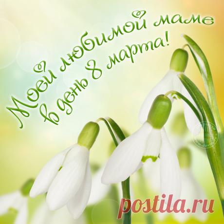 Моей любимой маме в день 8 марта! - открытка 9590 рубрики Открытки с 8 марта по теме цветы , маме