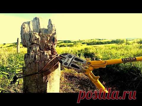 СКОЛЬКО МОЖНО ЗАРАБОТАТЬ ДЕНЕГ СОБИРАЯ ПРОВОЛОКУ - Видео онлайн