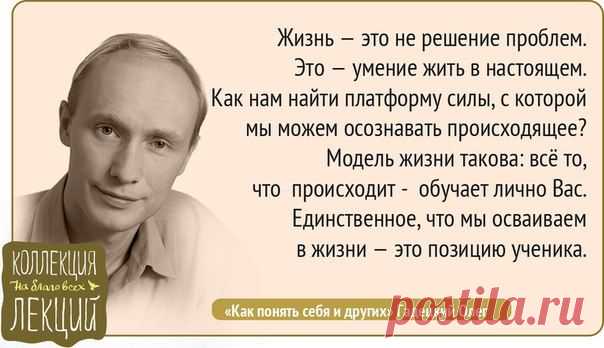 Торсунов | Нарушевич | Хакимов | Борисов