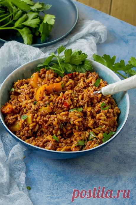 Mega leckerer Reis Hackfleisch Topf - Einfach Malene