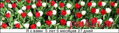НАЧИНКИ ДЛЯ ПИРОГОВ,ПИРОЖКОВ,ШАНЕЖЕК,ВАТРУШЕК,КУЛЕБЯК и.т.д. - gotovtesnami.ucoz.net