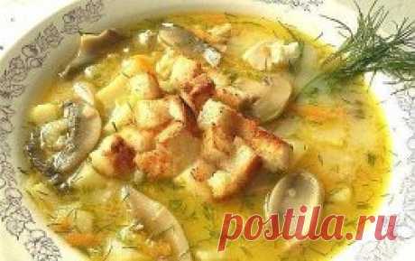 10 РЕЦЕПТОВ СЫРНЫХ СУПОВ 🍲
1. Сырный суп (с шампиньонами и брокколи)
ИНГРЕДИЕНТЫ:
● Шампиньоны — 5-7 шт.
● Сырки — 2 шт.
● Брокколи — 200 г
● Картофель — 1-2 шт.
● Морковь — 1 шт.
● Соль, растительное масло для обжарки
ПРИГОТОВЛЕНИЕ:
1. Шампиньоны нарезаем. Обжариваем минут 5-10. Морковку трем на терке и тоже обжариваем.
2. Брокколи разделяем по соцветиям, на кусочки помельче. 
3. Можно брать свежую брокколи (в сезон), можно воспользоваться и замороженной. 
4. В таком случае перед приготовле