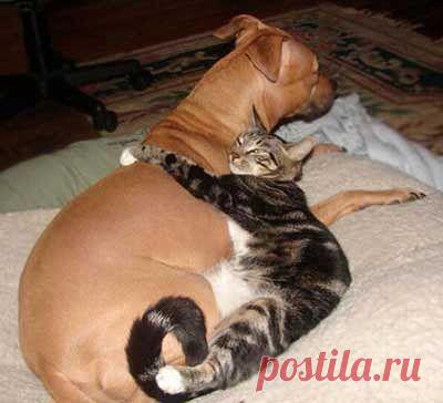 Дружба крепкая не сломается)))