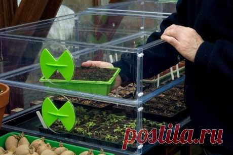 7 советов, как сохранить тепло в теплице зимой и не разориться на отоплении