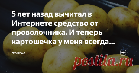 5 лет назад вычитал в Интернете средство от проволочника. И теперь картошечка у меня всегда красивая и вкусная! Здравствуйте дорогие дачники и огородники! Хочу рассказать о том, как я избавился от проволочника и других болячек на клубнях своего картофеля.
В 2014 году при уборке урожая обнаружил много клубней сплошь в дырочках, будто лишаи или ожоги, а у некоторых кожура была вся усыпана черными точками, как будто черная земля пристала.