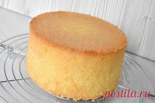 Пышный классический бисквит | Кулинарная статья на koolinar.ru