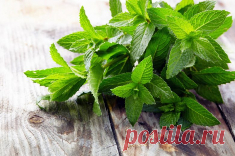 Простые средства от мигрени и боли в животе / Будьте здоровы