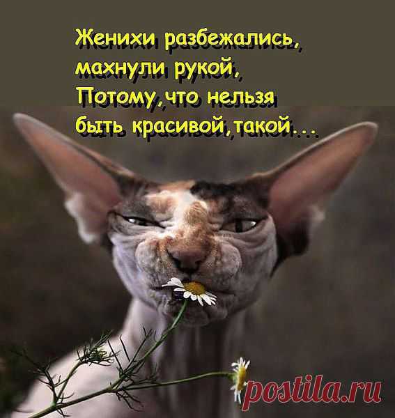 Мне нравится !