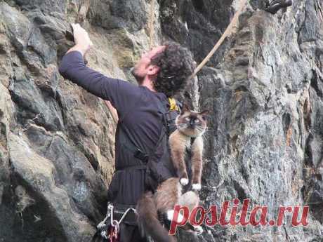 Мы уязвимые, но не слабые. Многие не понимают разницы. 
                                                                     (Хорхе Букай)