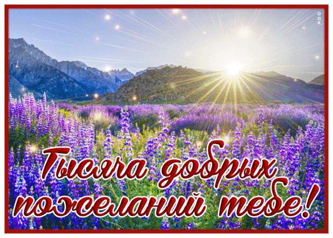 Любезная гиф-открытка, тысяча добрых пожеланий тебе