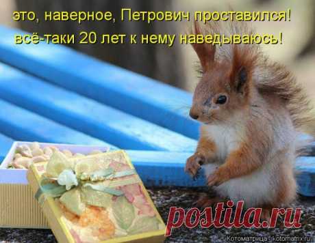 (+1) - Картинки | Четвероногий юмор