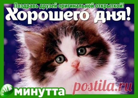 Виктор Нарыков
54 года, Россия, Соликамск
все его фото