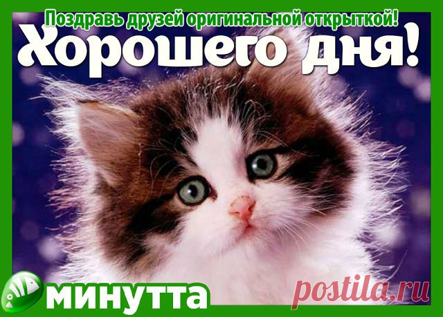Виктор Нарыков
54 года, Россия, Соликамск
все его фото