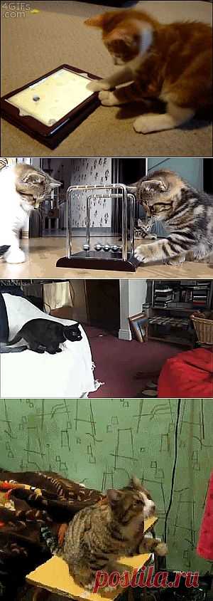 Доска объявлений - оксюморон